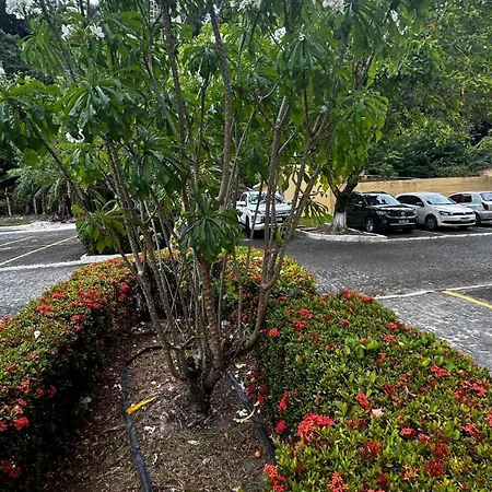 Gavoa Beach Resort Igarassu Exterior photo